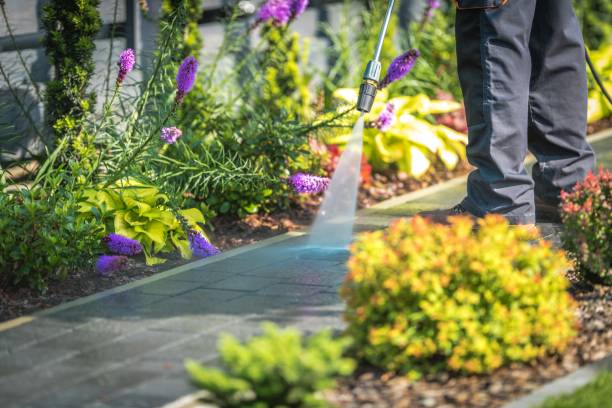 Best Patio and Deck Pressure Washing  in Lloyd Harbor, NY