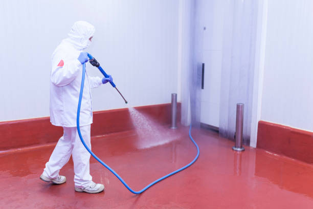 Best Post-Construction Pressure Washing  in Lloyd Harbor, NY